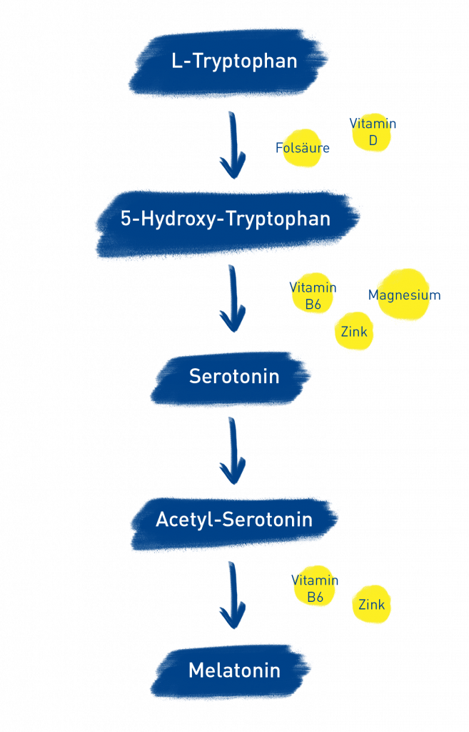 wie entsteht melatonin