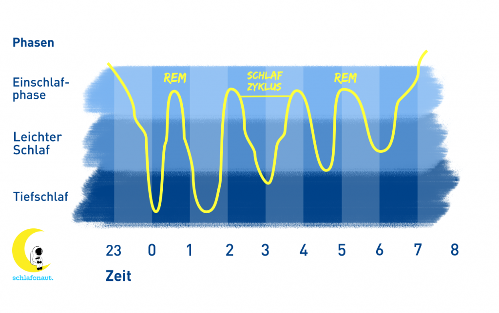 grafik schlafzyklen