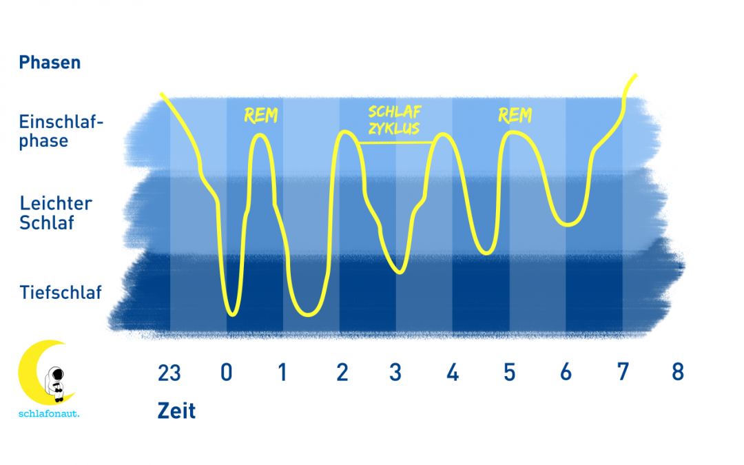 Schlafphasen