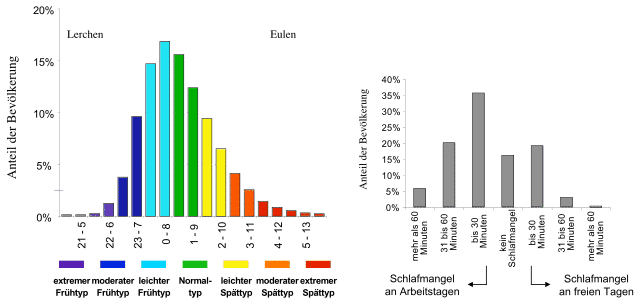 Verteilung Schlaftypen