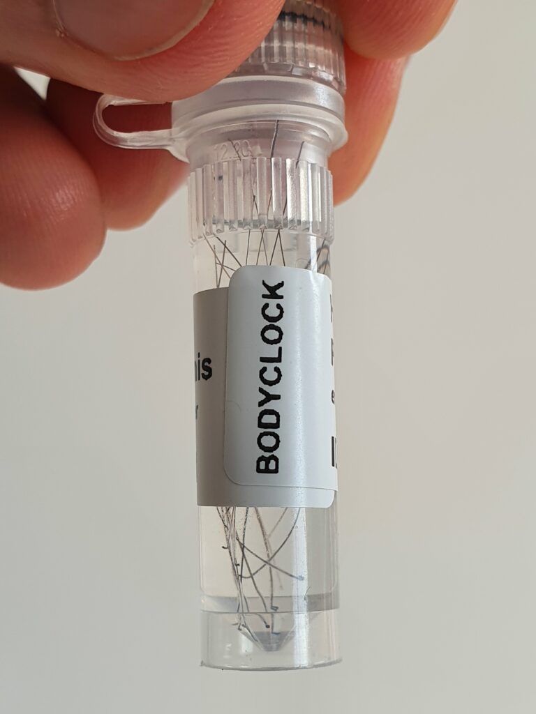 Bodyclock RNA-Test